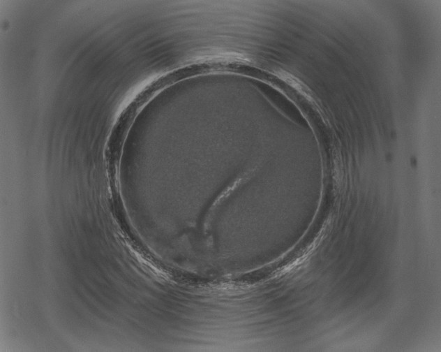 X0000068891022200605081314