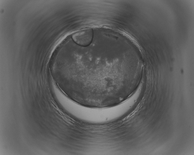 X0000068891023200605081314