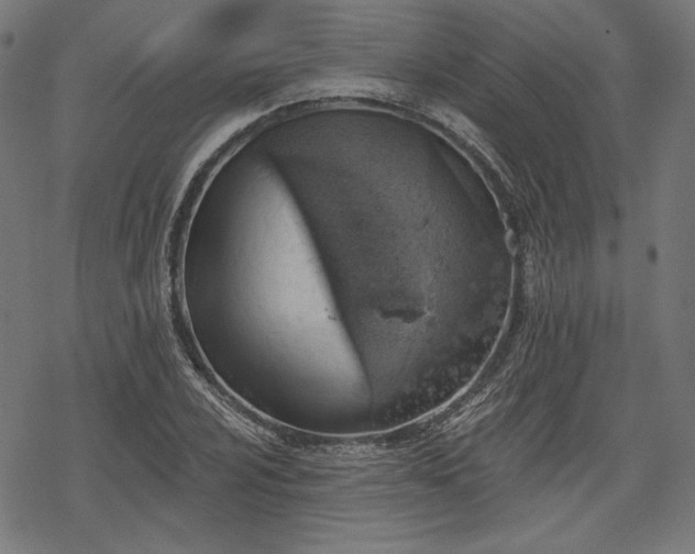 X0000068891024200605081314