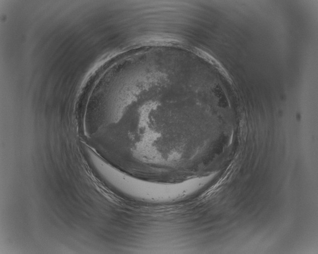 X0000068891027200605081314