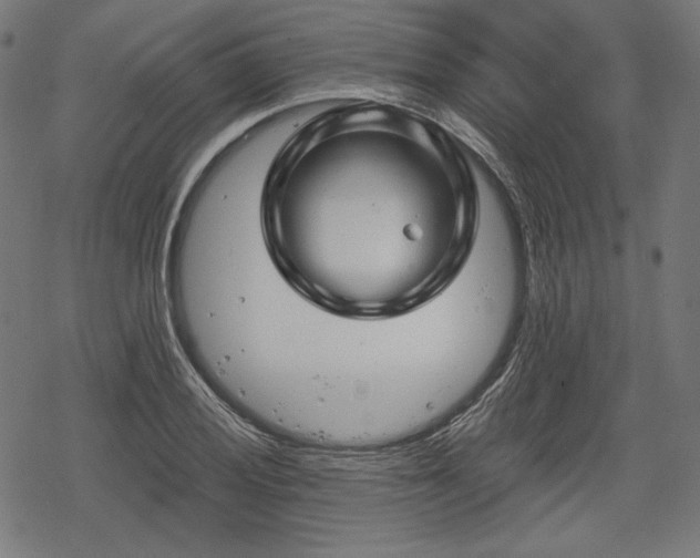 X0000068891028200605081314