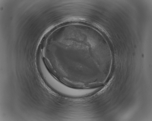 X0000068891029200605081314