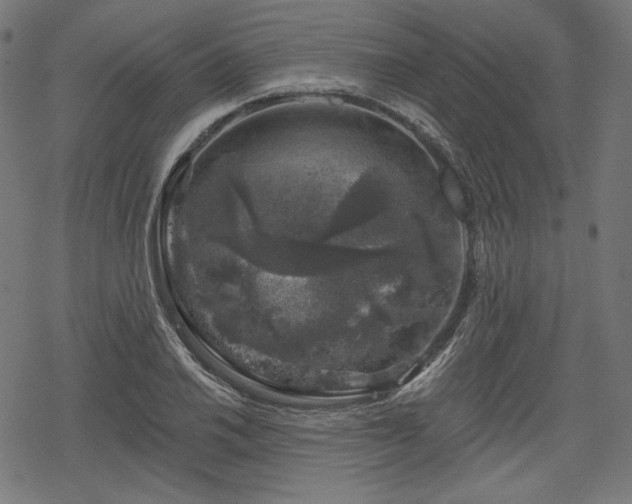 X0000068891030200605081314