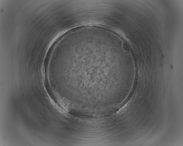 X0000068891032200605081314