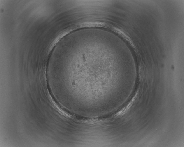 X0000068891033200605081314