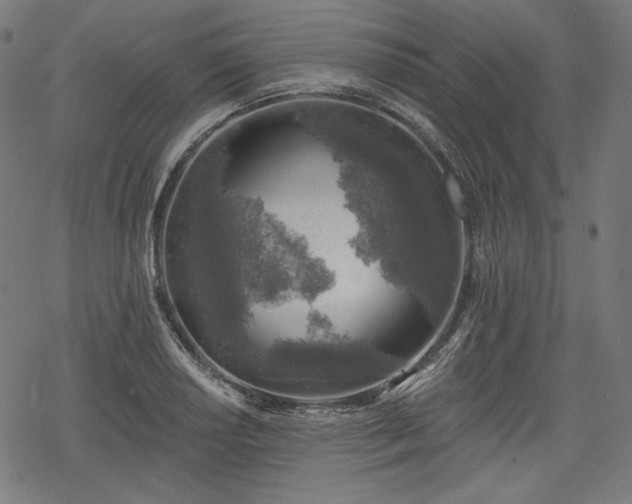 X0000068891034200605081314