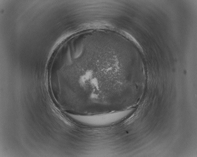 X0000068891035200605081314