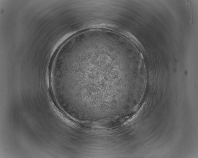 X0000068891036200605081314