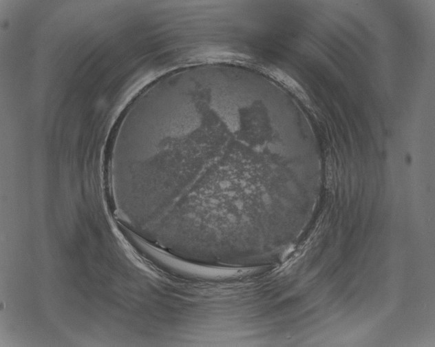 X0000068891039200605081314