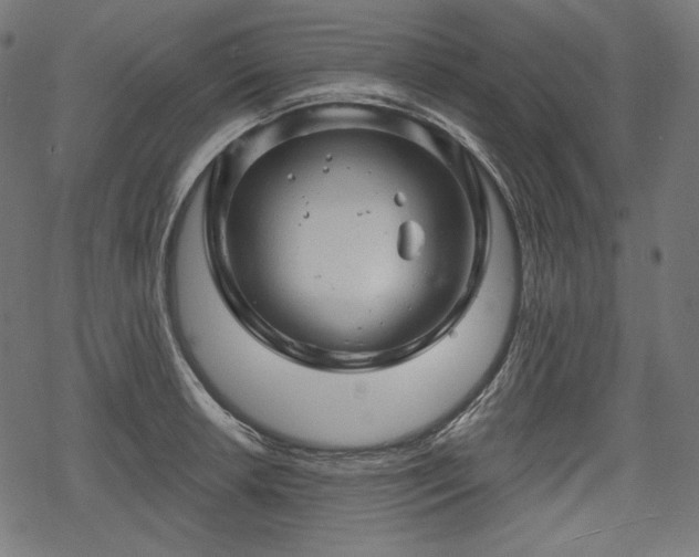 X0000068891042200605081314