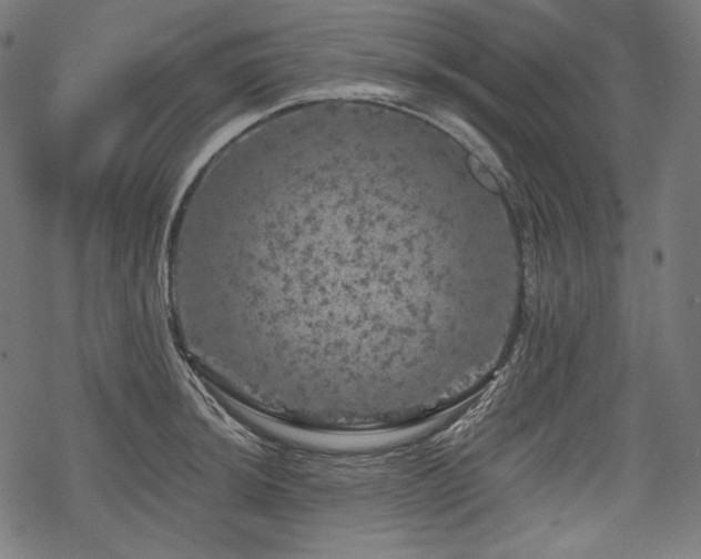 X0000068891044200605081315