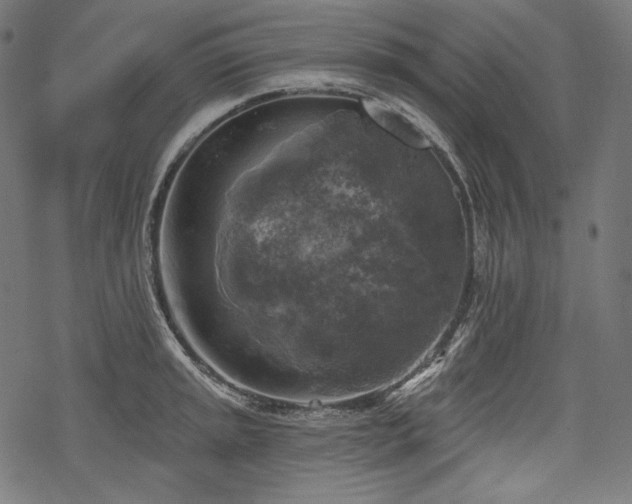 X0000068891045200605081315