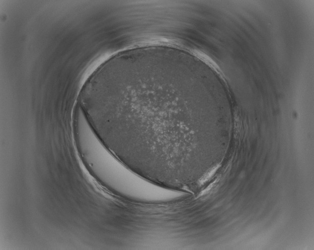 X0000068891047200605081315