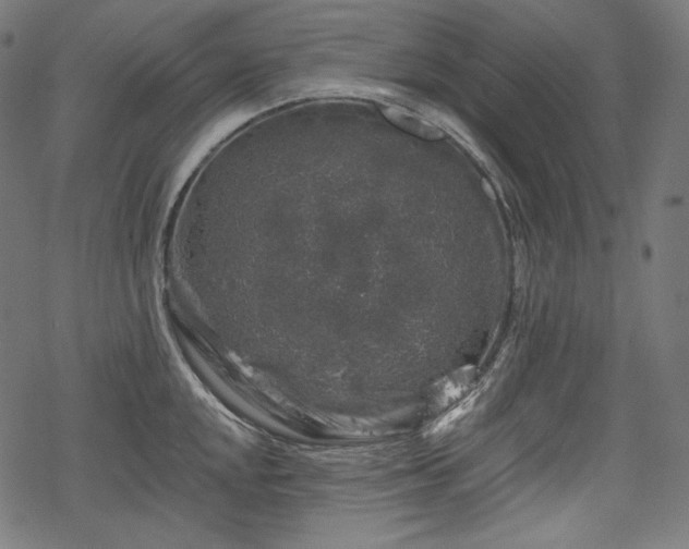 X0000068891048200605081315