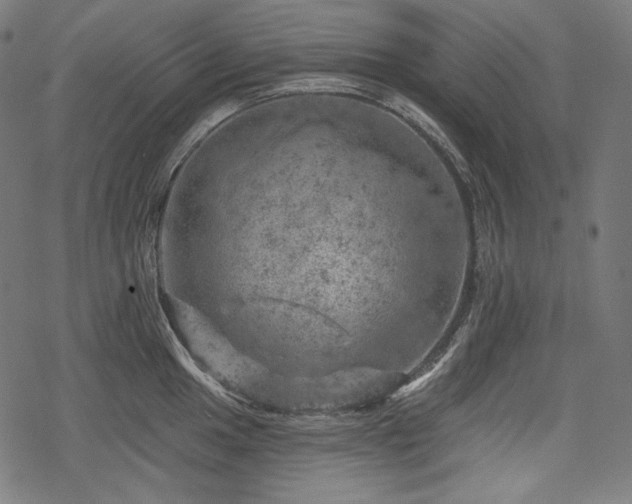 X0000068891049200605081315