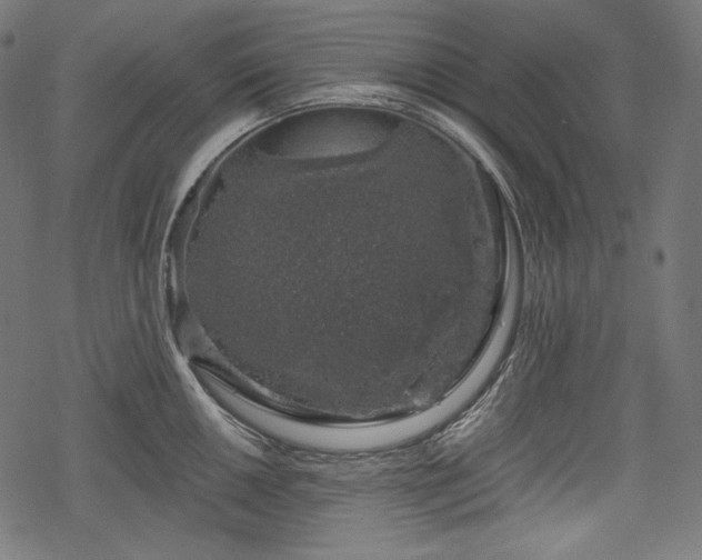 X0000068891050200605081315