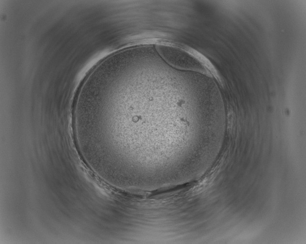 X0000068891051200605081315