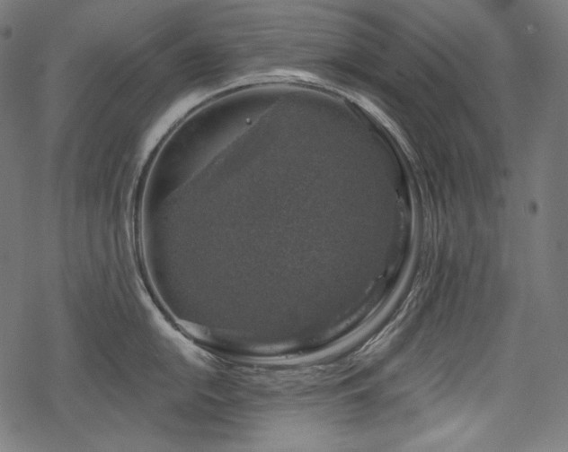 X0000068891054200605081315