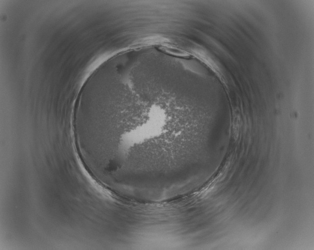 X0000068891055200605081315