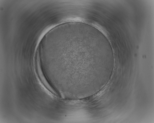 X0000068891056200605081315