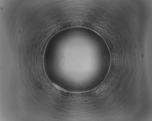 X0000068891057200605081314