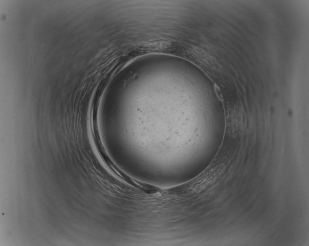 X0000068891058200605081314