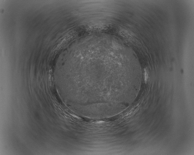 X0000068891059200605081314