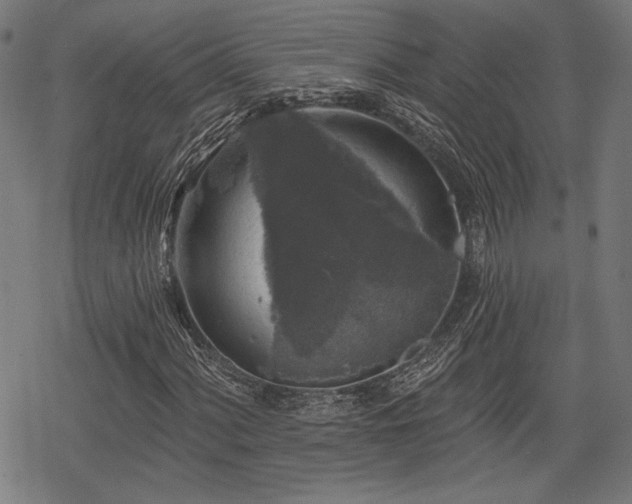 X0000068891060200605081314