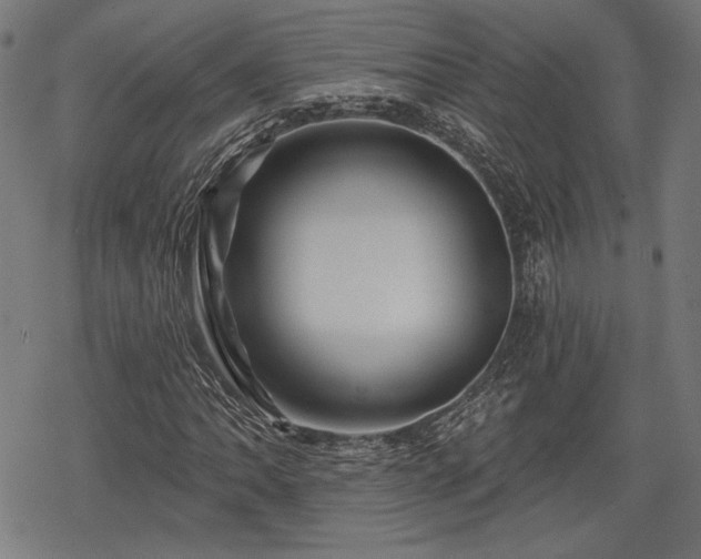 X0000068891062200605081314