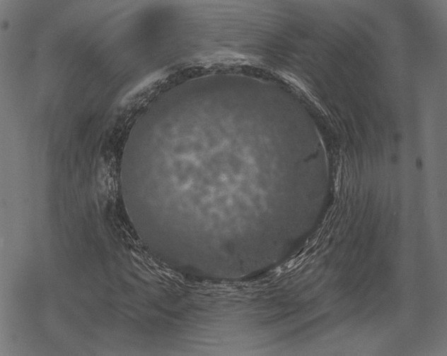 X0000068891063200605081314