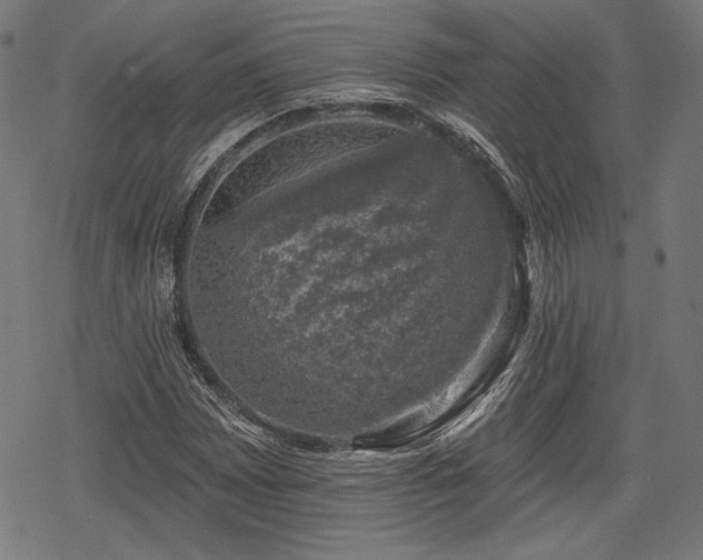 X0000068891065200605081314