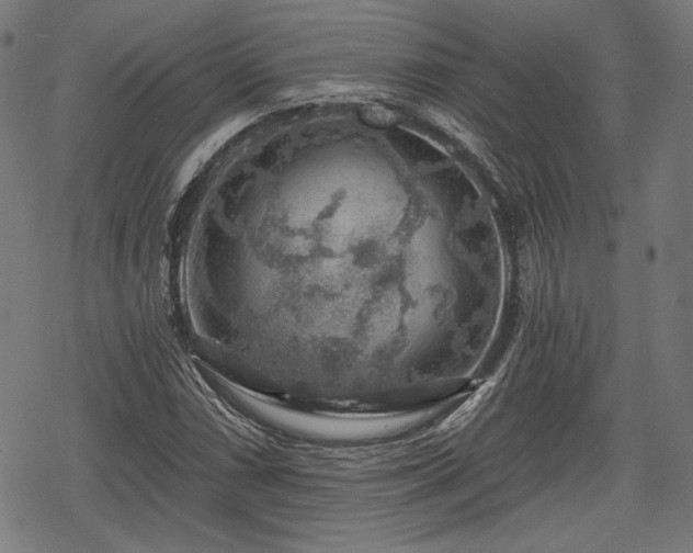 X0000068891066200605081314