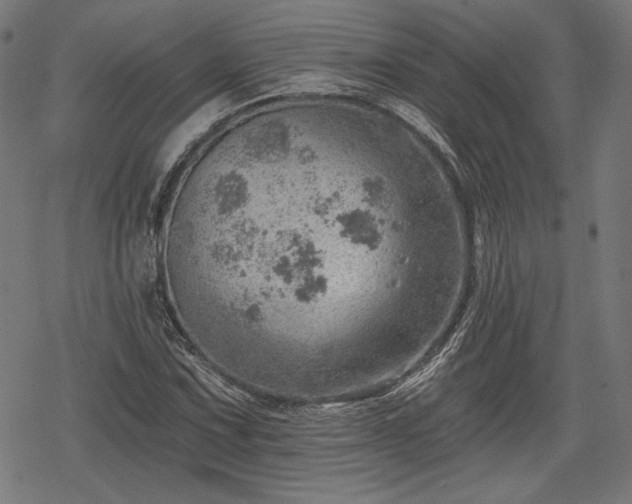 X0000068891067200605081314