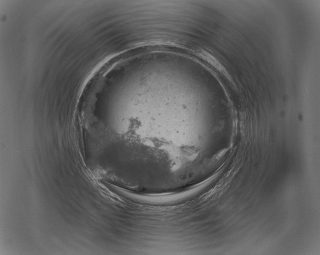 X0000068891068200605081314