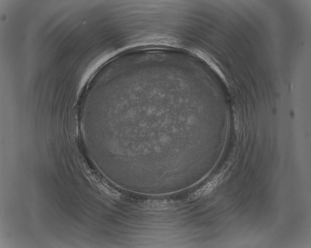 X0000068891069200605081314