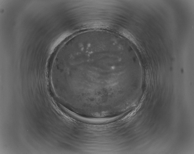 X0000068891071200605081314