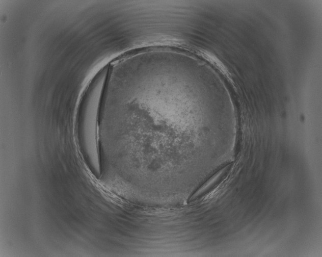 X0000068891072200605081314