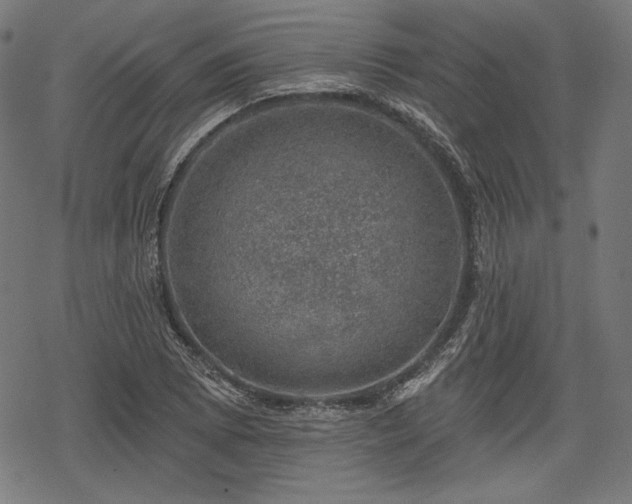 X0000068891073200605081314