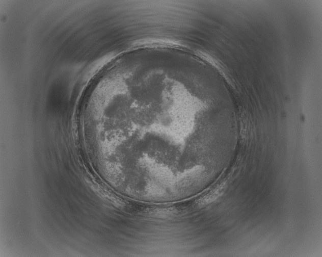 X0000068891074200605081314