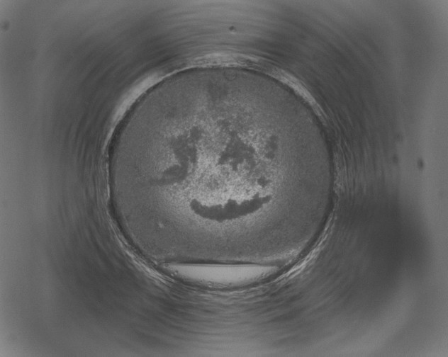 X0000068891075200605081314