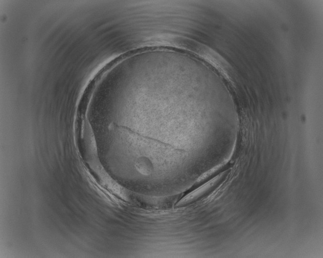 X0000068891076200605081314