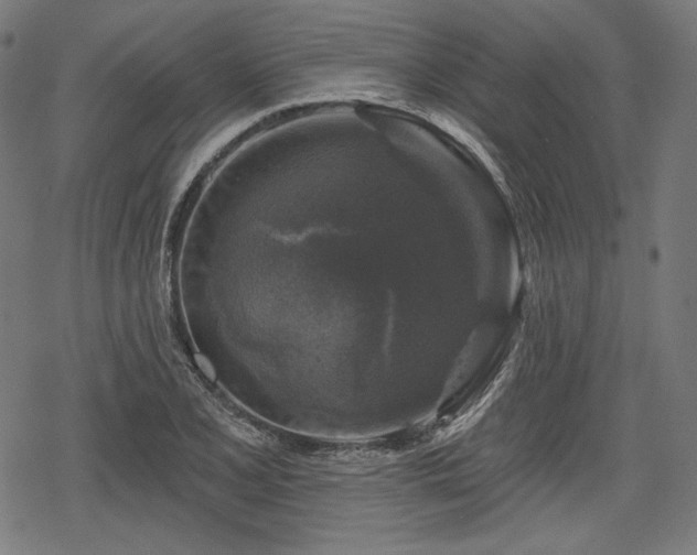 X0000068891077200605081314