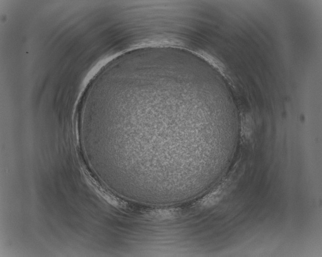 X0000068891078200605081314