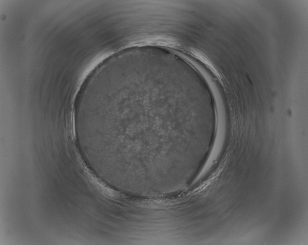 X0000068891079200605081314