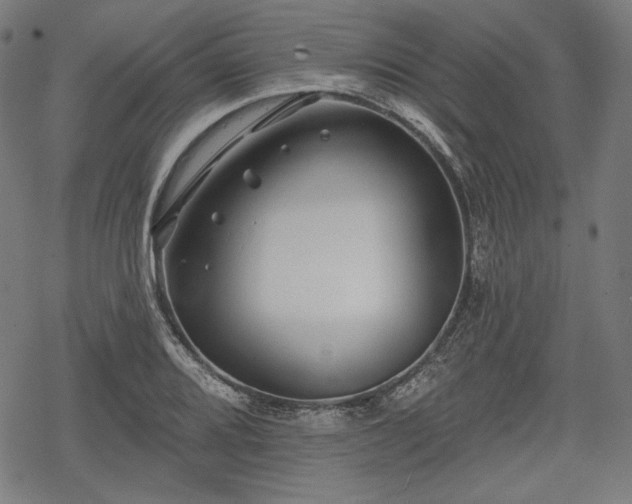 X0000068891080200605081314