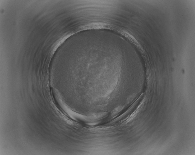 X0000068891081200605081314