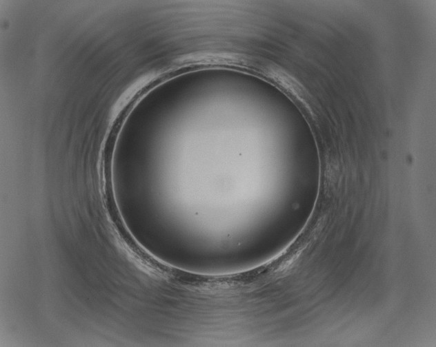 X0000068891082200605081314