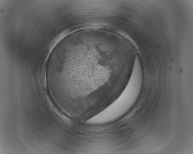 X0000068891083200605081313