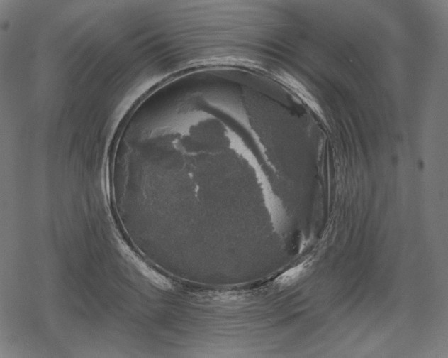 X0000068891084200605081313