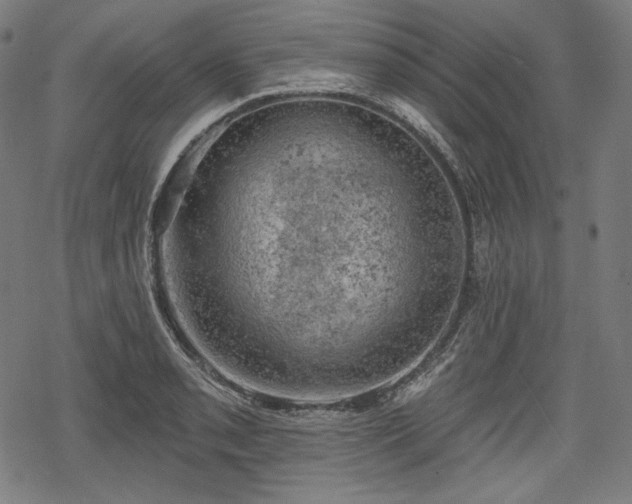 X0000068891085200605081313